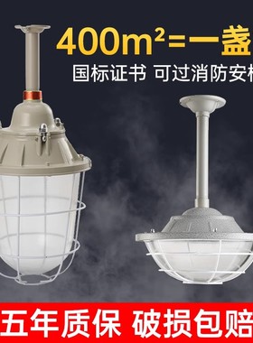 LED防爆灯仓库厂房防爆照明灯隔爆型加油站30.50.80W防爆灯罩工厂