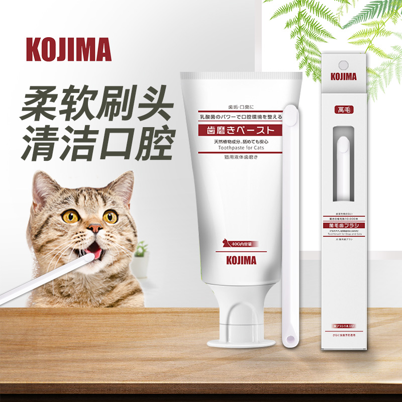 KOJIMA猫咪牙刷牙膏套装猫牙刷宠物可食用除口臭牙齿清洁用品 宠物/宠物食品及用品 猫狗牙膏/牙具 原图主图