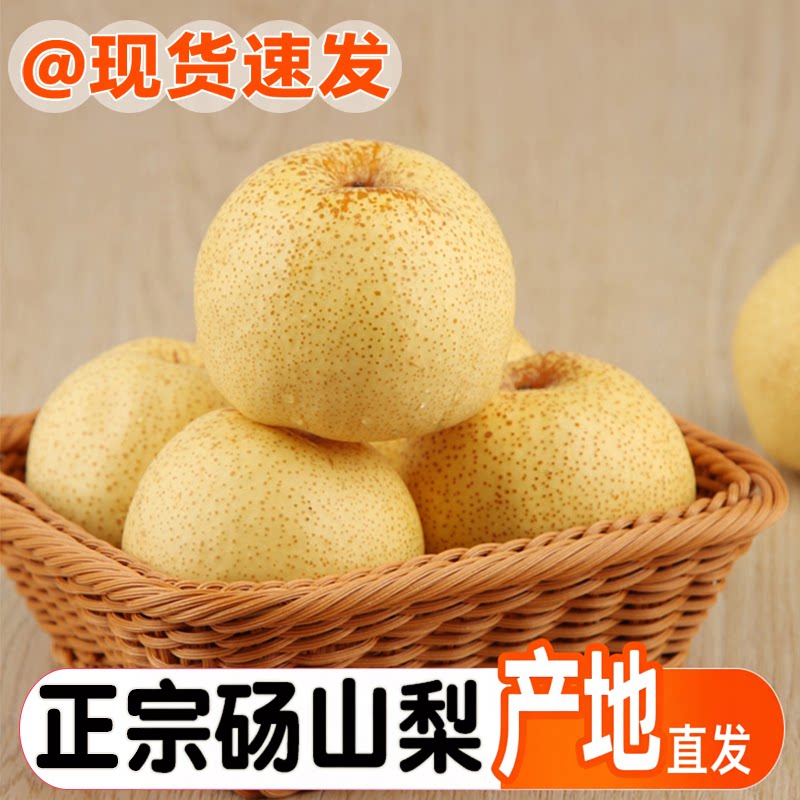 产地直发丨砀山酥梨丨脆甜多汁