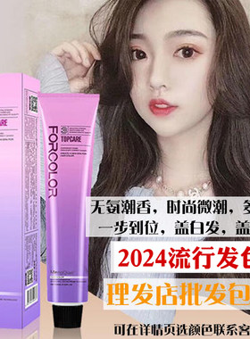 嘉瀛挂耳染发片无氨染膏流行色
