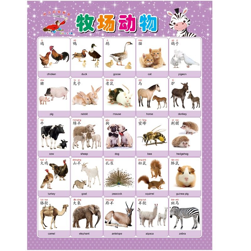幼儿早教启蒙宝宝益智认识水果蔬菜动物海洋生物海底世界无声挂图