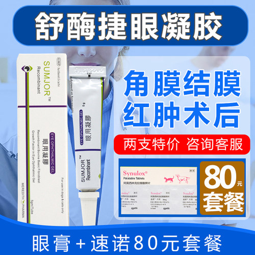 眼药膏猫价格 眼药膏猫图片 星期三