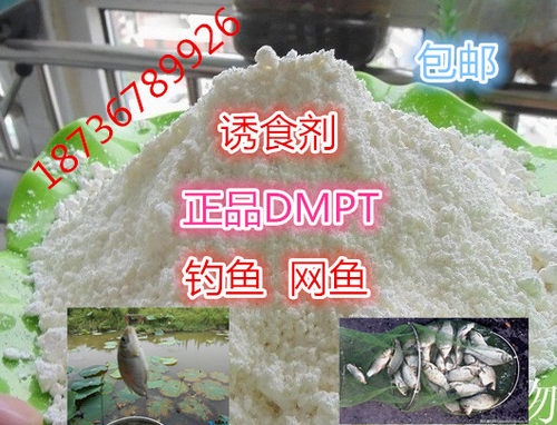 正品DMPT强效促食信息素诱食剂小药添加剂鲫鲤草鱼饵钓鱼小药100g