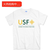 2024夏季 t恤男女毕业班服定制打底衫 新款 学院派USF旧金山大学短袖