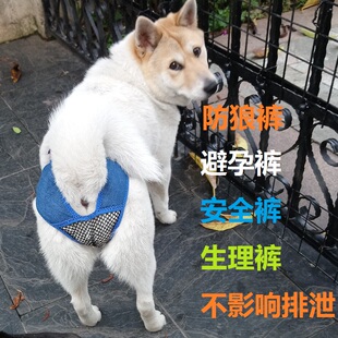 土狗防狼裤防交配避孕裤母狗生理裤安全裤女狗发情期不影响排泄