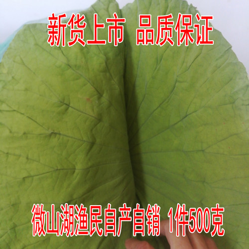 微山湖干荷叶微山湖自产自销