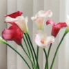 Товары от 小坏光