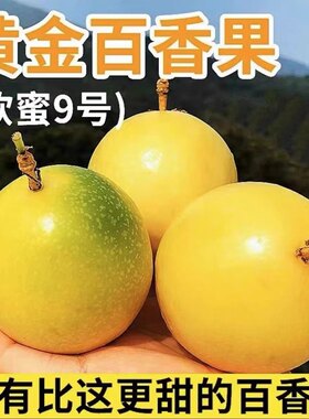 钦蜜黄金9号百香果嫁接苗树苗纯甜四季结果爬藤南方当年结果