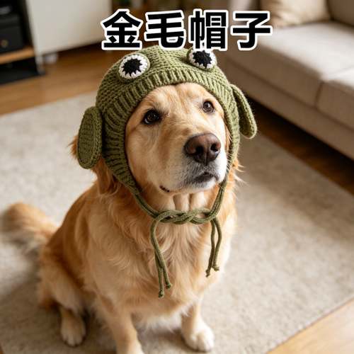 金毛专用宠物帽子冬季中大型犬拉布拉多搞怪头套保暖可爱帽子卡通
