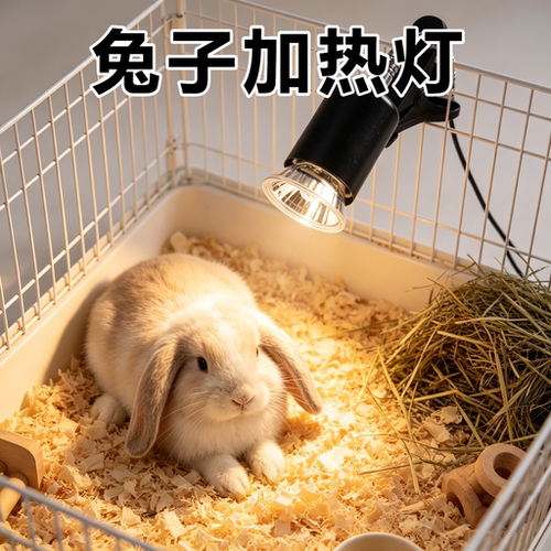 兔子专用晒背灯爬宠太阳灯蜥蜴uva补钙保温加热uvb灯泡照明光谱