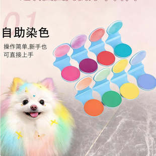 比熊博美狗狗专用一次性染发粉饼腮红染发剂宠物化妆无害染毛膏