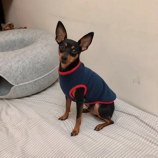 小鹿犬吉娃娃宠物狗狗专用小体型犬带牵引扣两脚衣服过冬天保暖用