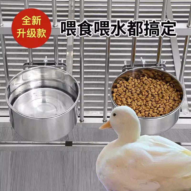 小鸭子专用喝水槽食宠物喂