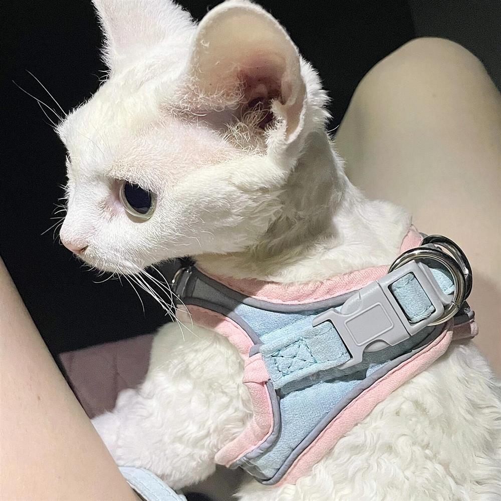 反光猫咪牵引绳高颜值宠物
