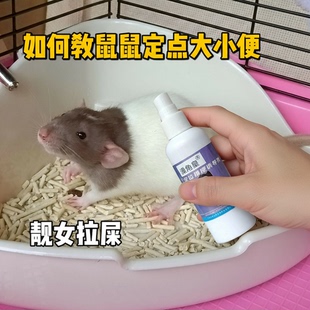 花枝鼠专用诱导剂上厕所防止乱拉乱尿神器荷兰猪雪貂拉屎尿尿引导