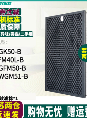 适配夏普捕蚊空气净化器FU-WGM51/GFM50/GK50过滤网FP-FM40L-B芯