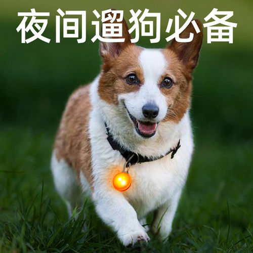 宠物LED夜光硅胶亮灯项圈吊坠