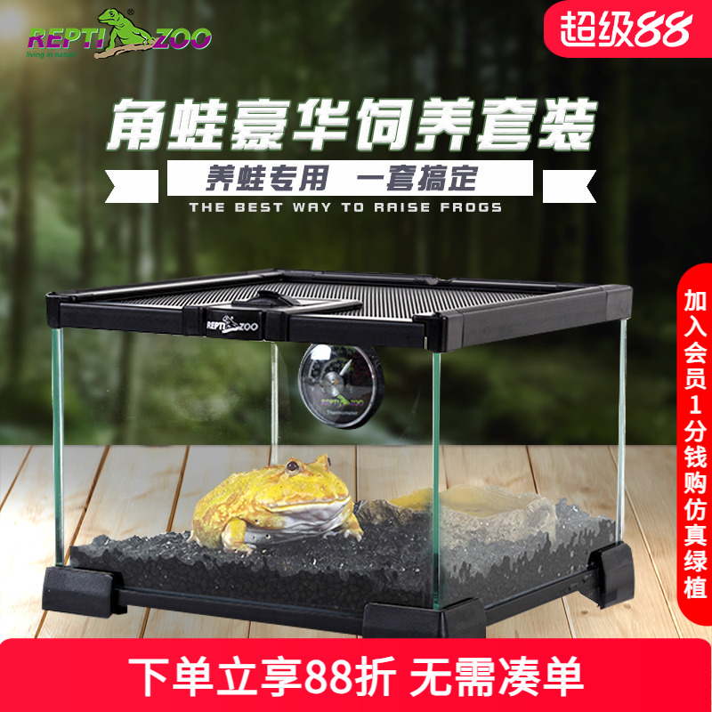 reptizoo角蛙饲养箱造景