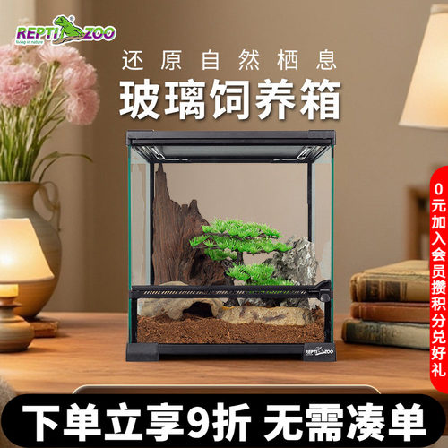 reptizoo蜥蜴饲养宠鬃狮变色龙
