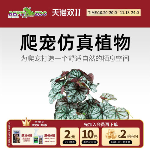 REPTIZOO瑞皮爬宠箱造景植物