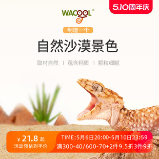 WACOOL玩酷爬沙爬宠沙钙沙陆龟守宫蜥蜴饲养箱造景冬季 冬眠用品