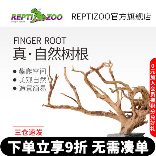 天然杜鹃根爬宠造景摆件