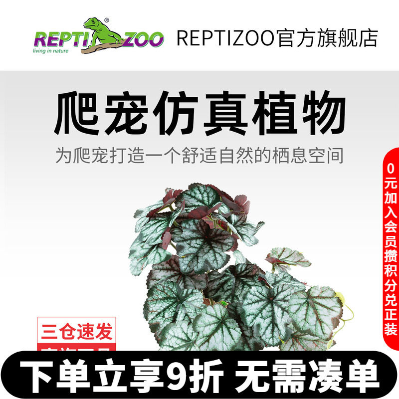REPTIZOO瑞皮爬宠箱造景植物图片