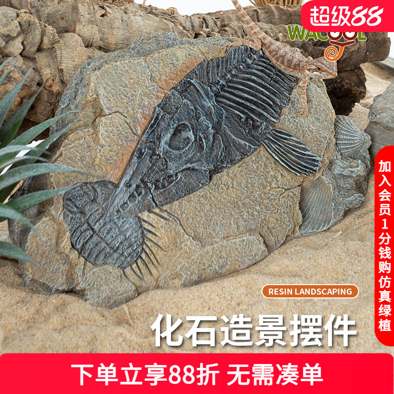 瑞皮reptizoo化石造景摆件装饰物