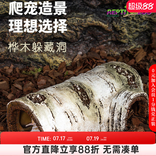 reptizoo桦木躲避洞穴蜥蜴蜘蛛