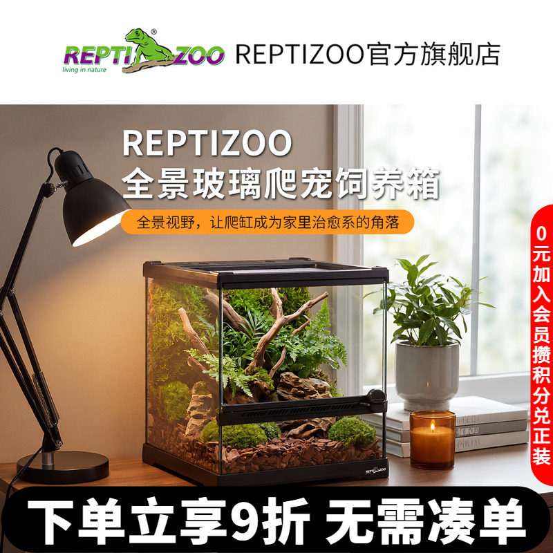 REPTIZOO瑞皮蜥蜴饲养鬃狮变色龙图片