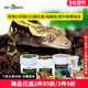 瑞皮Reptizoo爬宠钙粉D3爬虫补维生素陆龟鬃狮蜥蜴豹纹守宫电解质