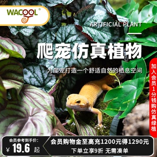 瑞皮Reptizoo玩酷爬宠箱造景仿真植物躲避摆件黄缘龟缸装 饰假绿植