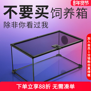 Reptizoo瑞皮爬宠角蛙饲养箱蜥蜴蜘蛛乌龟守宫爬虫玻璃缸雨林缸蛇
