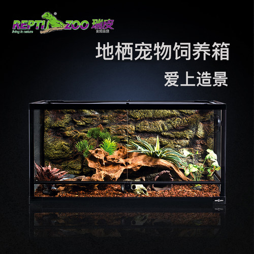 REPTIZOO瑞皮爬宠饲养箱鬃狮蜥蜴