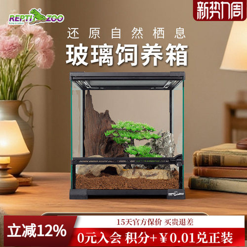 REPTIZOO瑞皮蜥蜴饲养鬃狮变色龙