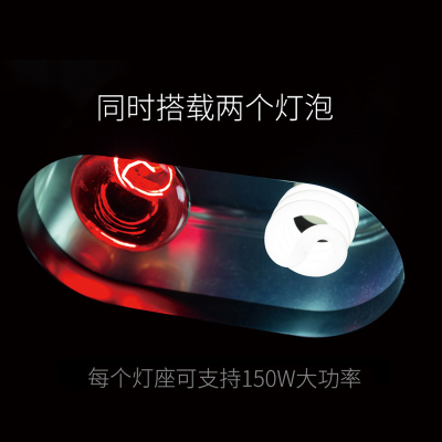 Reptizoo爬宠灯罩UVA乌龟晒背灯UVB陶瓷加热灯防烫爬虫饲养箱保温