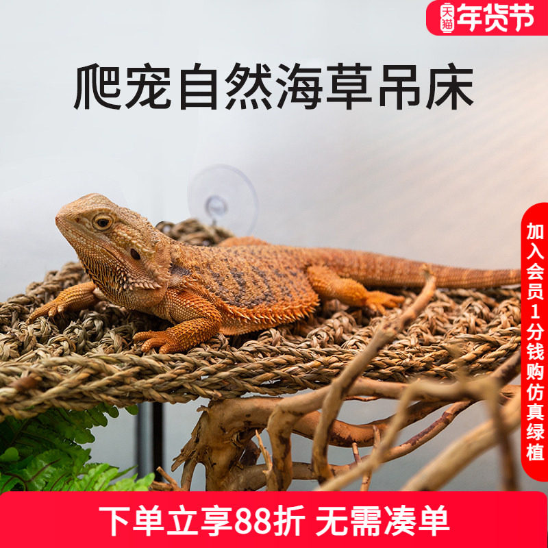 瑞皮Reptizoo爬宠吊床蜥蜴守宫变色龙造景爬宠躲避挂式攀爬秋千窝,宠物/宠物食品及用品,造景/装饰,淘宝优惠券,粉丝福利购,淘宝优惠卷