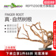 瑞皮Reptizoo饲养缸睫角树栖爬虫造景爬宠天然树根鱼缸杜鹃根摆件