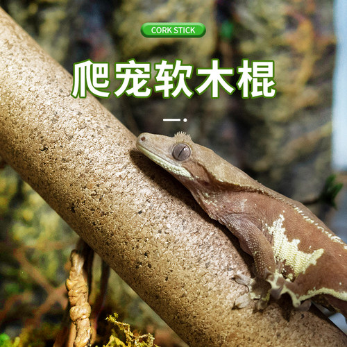 REPTIZOO瑞皮树栖爬宠攀爬软木棍