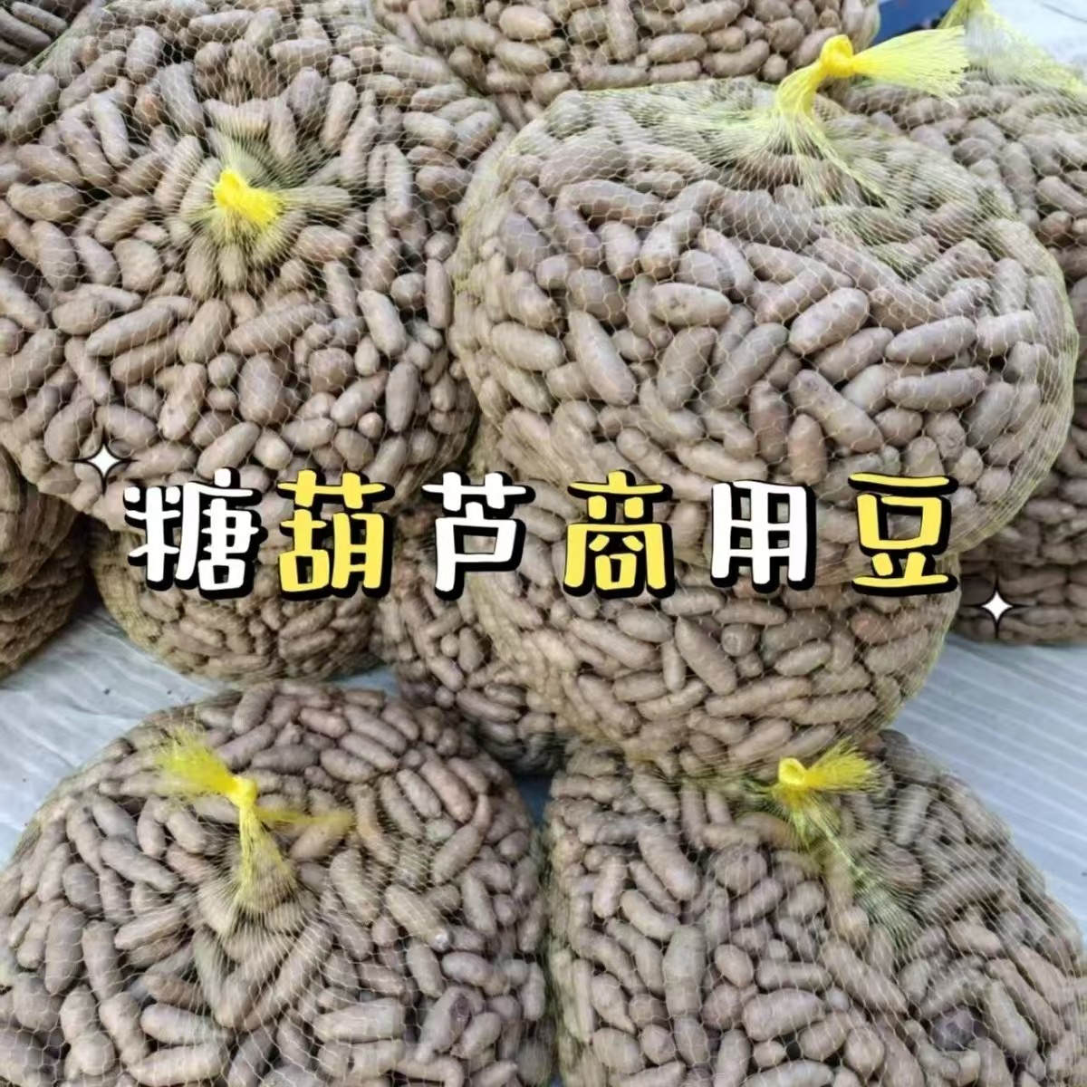 王氏小白嘴山药豆比铁棍铁杆山药山药及其制品