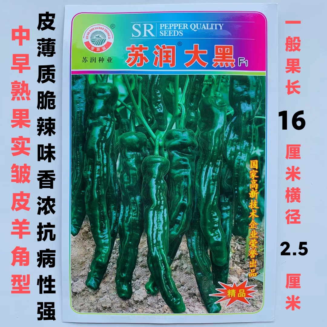 辣椒种子苏润大黑薄皮皱皮辣椒种子质脆味辣皮黑绿色皱皮辣辣种子