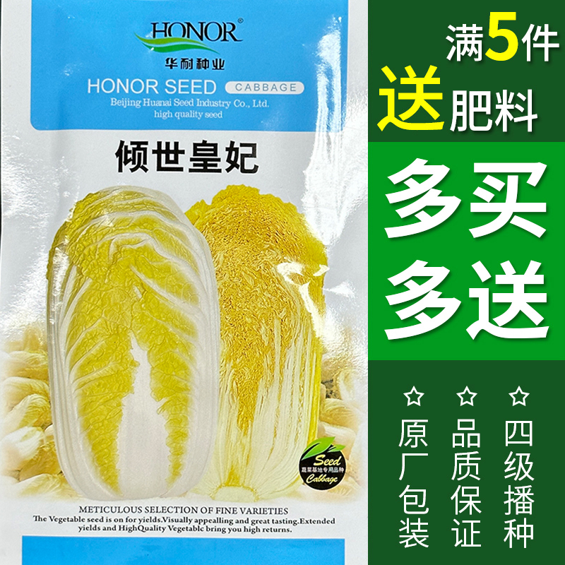 娃娃菜种籽四季小白菜籽春秋蔬菜菜籽鸡蛋黄娃娃菜种子大全种孑冬