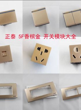 正泰开关插座118型NEW5F幻银开关模块插座功能件自由组合香槟金色