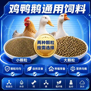 鸡饲料荷兰猪牛马羊鸭饲料磨牙兔粮全禽通吃仓鼠粮垫料厂家批发