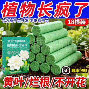 栀子花专用植物缓释肥营养棒养花花肥家用盆栽复合肥料花卉绿植