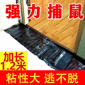 老鼠粘强力粘鼠板超强力胶粘大老鼠夹捕鼠神器灭鼠沾贴扑捉家用抓