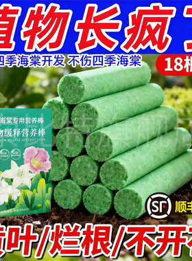 四季海棠专用植物缓释肥营养棒养花花肥家用盆栽复合肥料花卉绿植