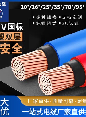 国标纯铜芯电线BVV10/16/25/35/50/70平方阻燃双塑电线电缆零剪