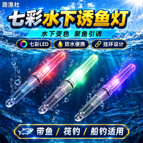 海钓带鱼水下诱鱼灯变色钓鱼灯LE