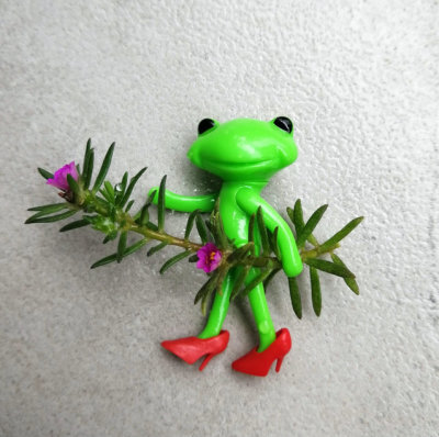 taobao agent Zhengzhang Cargo toy accessories Japanese baby travel frog mini little baby can wear red light mouth pointed high heels